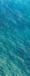 Blaupause - View 1