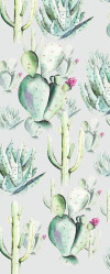 Cactus Grey - View 1