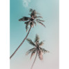 Exotic Love   - View 1