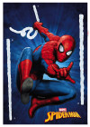 Spider-Man - View 1