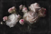 Eternity - View 1