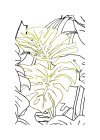 Art Edition - View 1