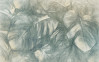 Beyond Botanic - View 1