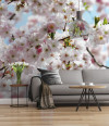 Spring - View 1