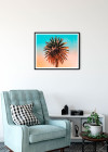 Palm Tree