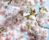 Spring - View 1