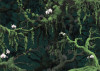 Orch-Idee - View 1