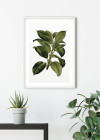 Elastica Tree