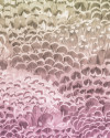 Pale Feathers - View 1