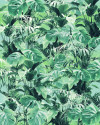 Evergreen - View 1