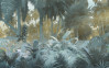 Misty Jungle - View 1