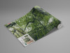 Ancient Green  - View 1