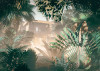 Manoa - View 1