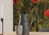 Poppy World I - View 1