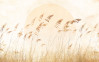 Dune Grass - View 1