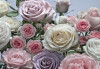 Floraison - View 1