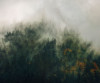 Ambience - View 1