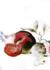 Dessert Fruité