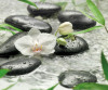 Pure - View 1