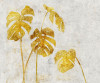 Golden Monstera - View 1