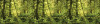Ancient World - View 1
