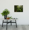 Mystic Birch Grove - View 1