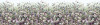 Botanica - View 1