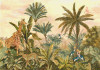 Tropical Vintage Garden - View 1