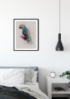 Animals Paradise Parrot