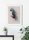 Animals Paradise Parrot