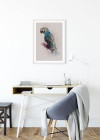 Animals Paradise Parrot