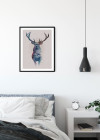 Animals Forest Deer