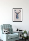 Animals Forest Deer