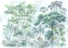 Silva - View 1