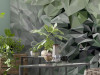 Emerald Flowers - View 1