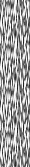 Zebra - View 1