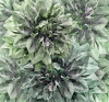 Emerald Flowers - View 1