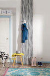 Zebra - View 1