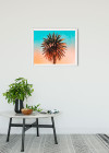 Palm Tree