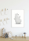 Cute Animal Polar Bear