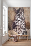 Zebra - View 1