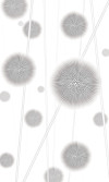 Allium - View 1