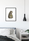 Cute Animal Bear