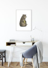 Cute Animal Bear