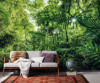 Into the Jungle - View 1