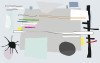 Composition 1 white-grey - View 1