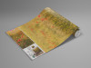 Poppy World I - View 1