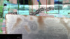 Infinity Prancing mocca - View 1