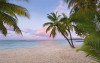 Paradise Morning - View 1