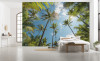 Coconut Heaven  - View 1